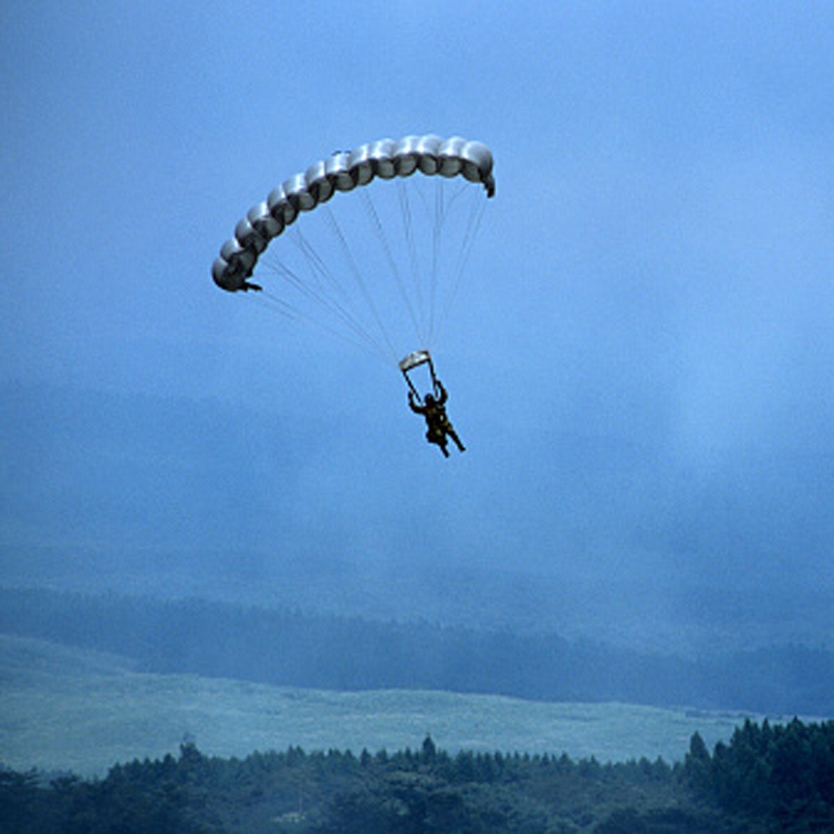 Parachuter plunges through roof