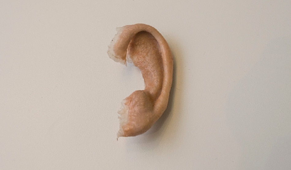 ear