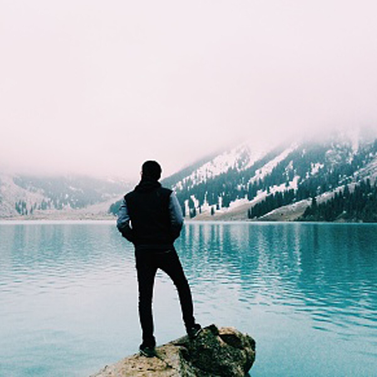 crocodile beach video 