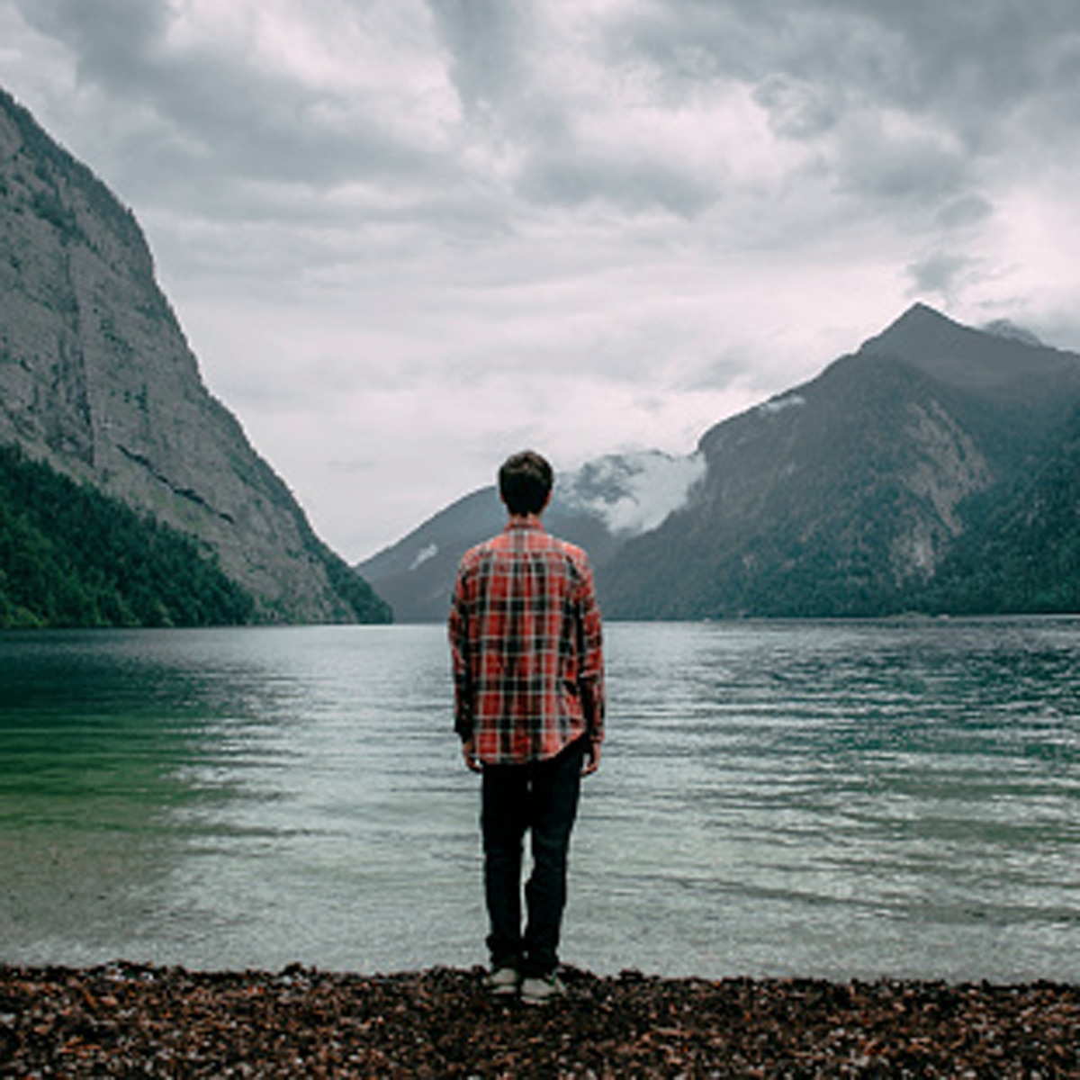 crocodile beach video 