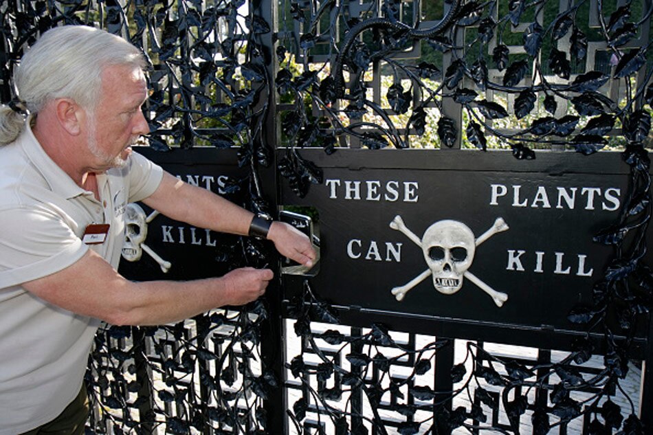 Alnwick Poison Garden