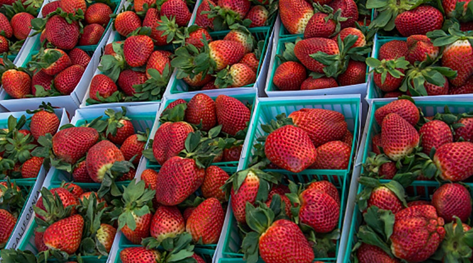 most expensive fruits