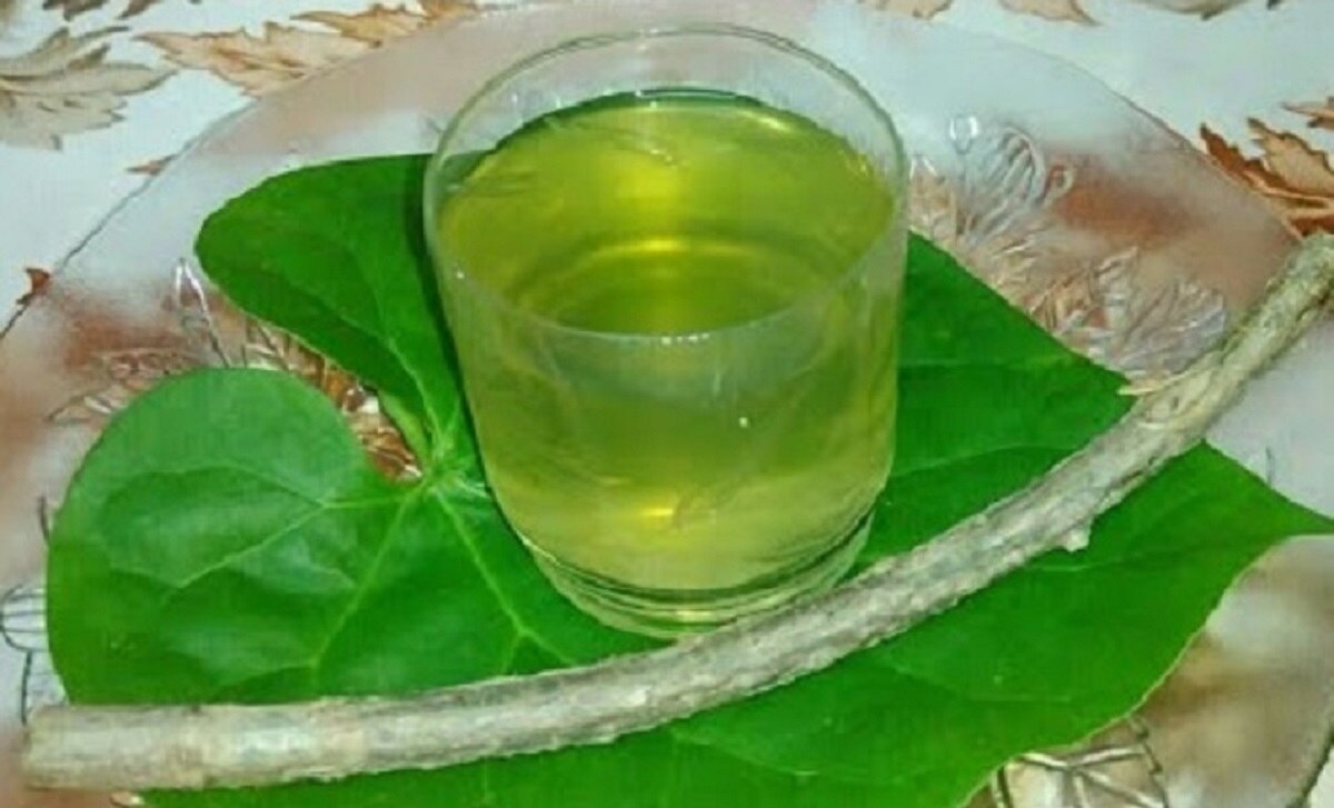 लिवर डैमेज कर रहा इम्यूनिटी बढ़ाने वाला गिलोय