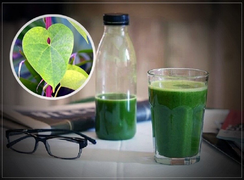 लिवर डैमेज कर रहा इम्यूनिटी बढ़ाने वाला गिलोय