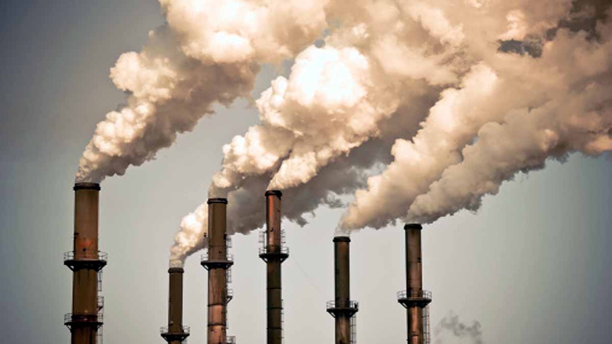 Human on global collapse