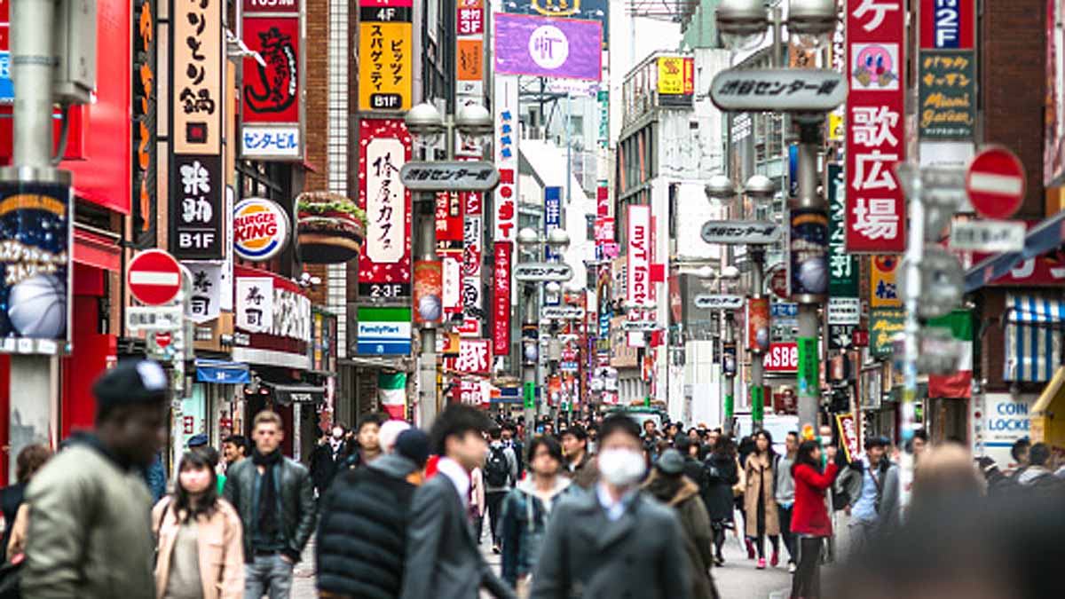 Human on global collapse