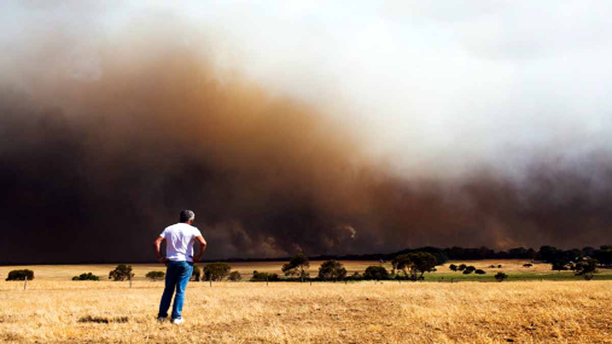 Human on global collapse