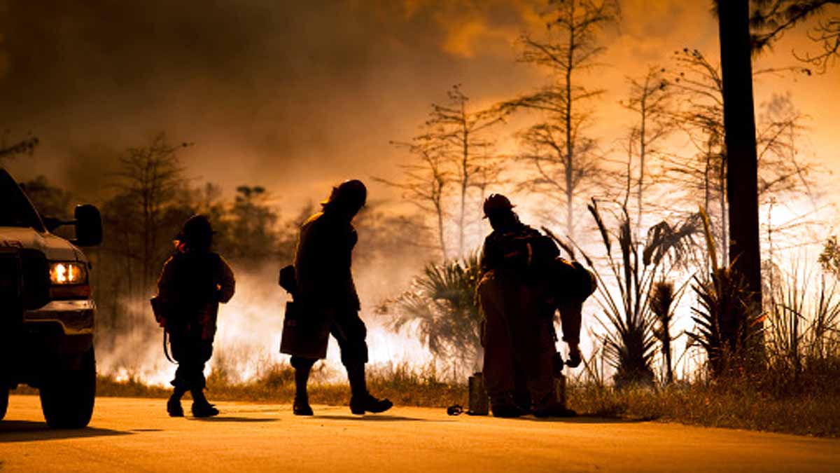 Human on global collapse