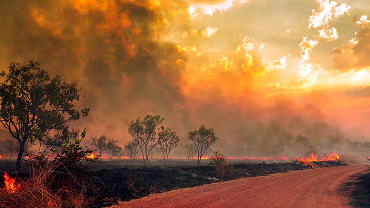 Human on global collapse