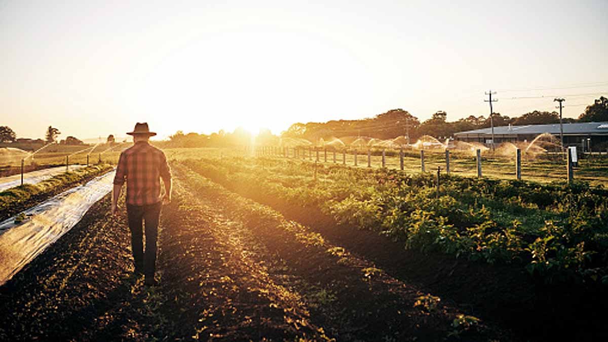 Human on global collapse