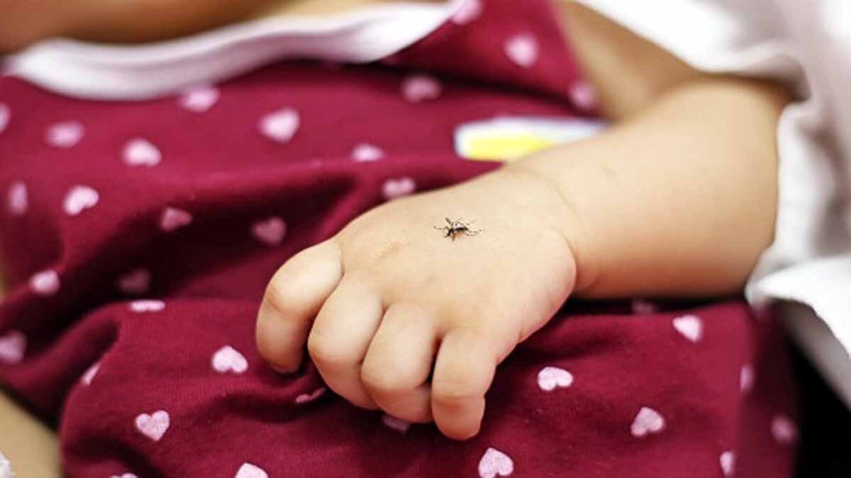 Global Warming Dengue