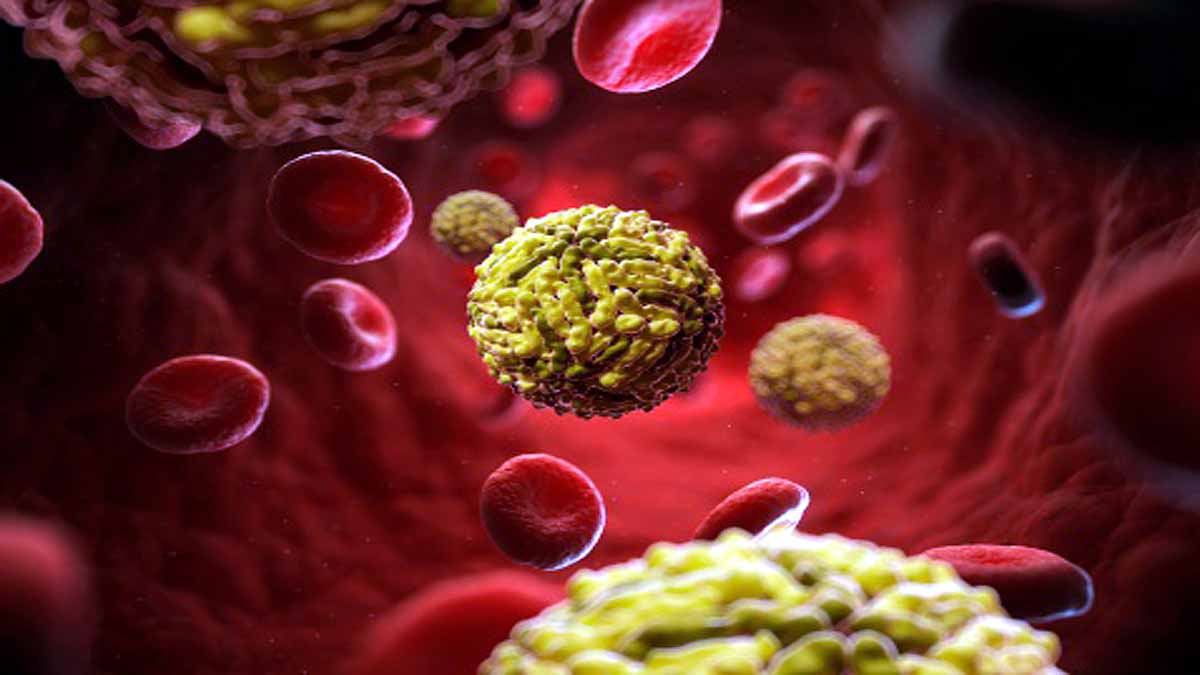 Global Warming Dengue