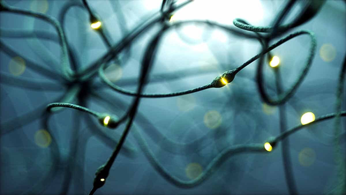 Grandmother Neurons