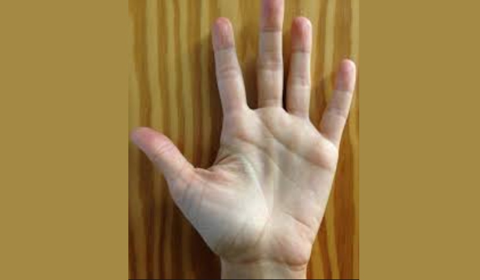 सामुद्रिक शास्त्र2