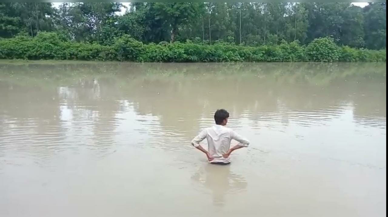 नहर में बहते दिखे अंडे