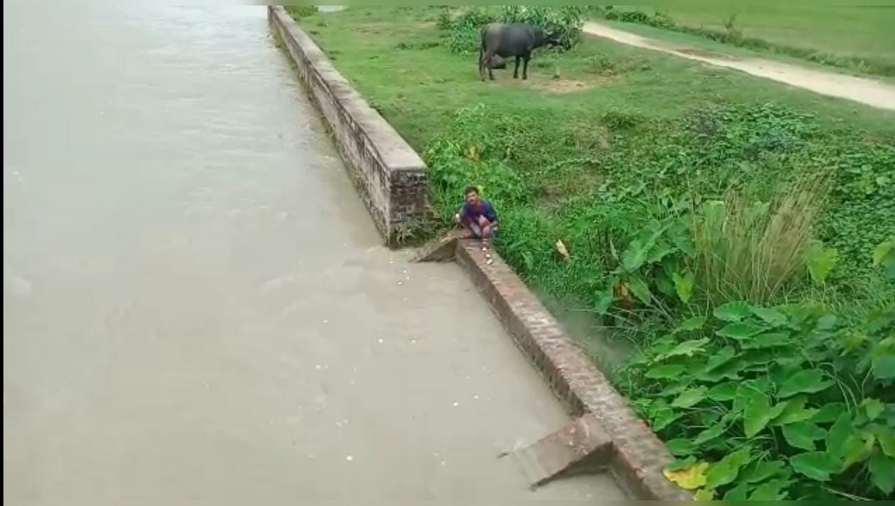 नहर में बहते दिखे अंडे