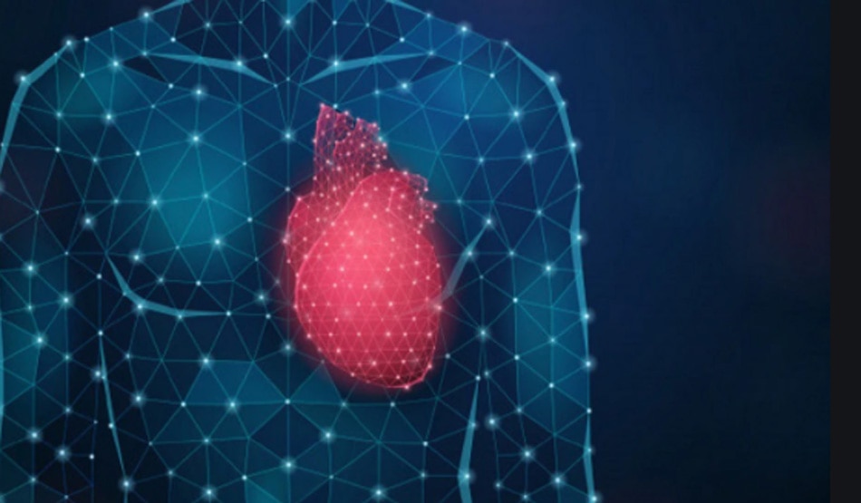 हृदय3