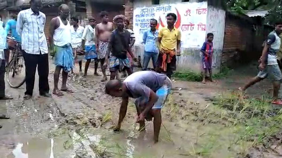 रास्ते में गांव वालों ने रोप दिए धान के पौधे, गांव की जर्जर सड़क से परेशान होकर किया विरोध प्रदर्शन