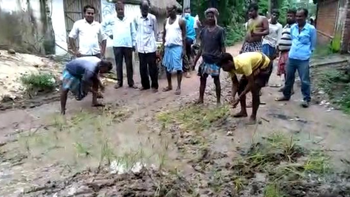 hooghly villagers planted paddy saplings protested