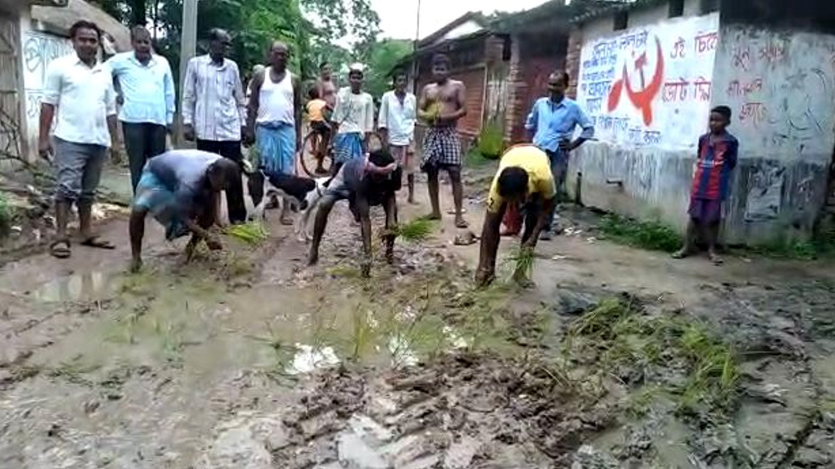 hooghly villagers planted paddy saplings protested