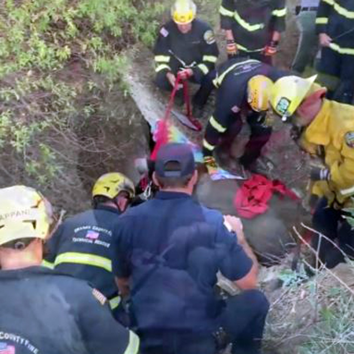 horse rescue by helicopter 