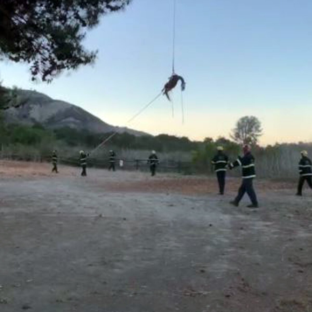 horse rescue by helicopter 