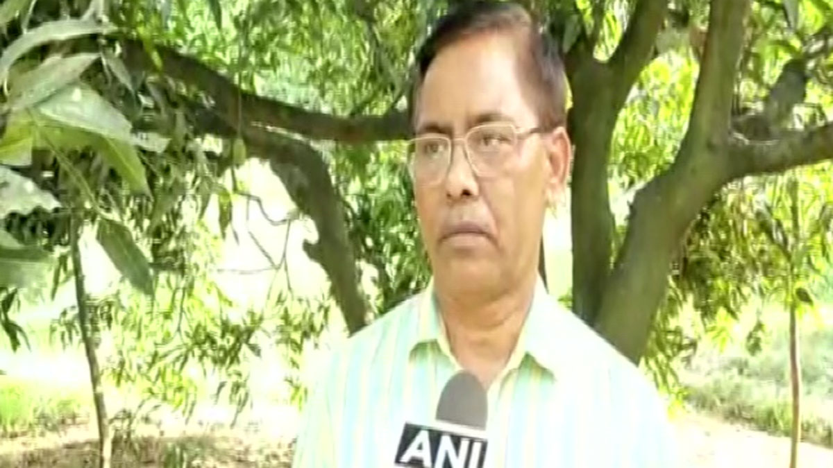 Grow 121 varieties of mangoes in single tree through grafting