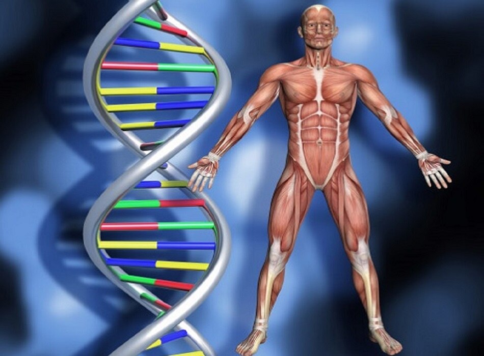 लक्षणों से पहचानें शरीर में प्रोटीन की कमी