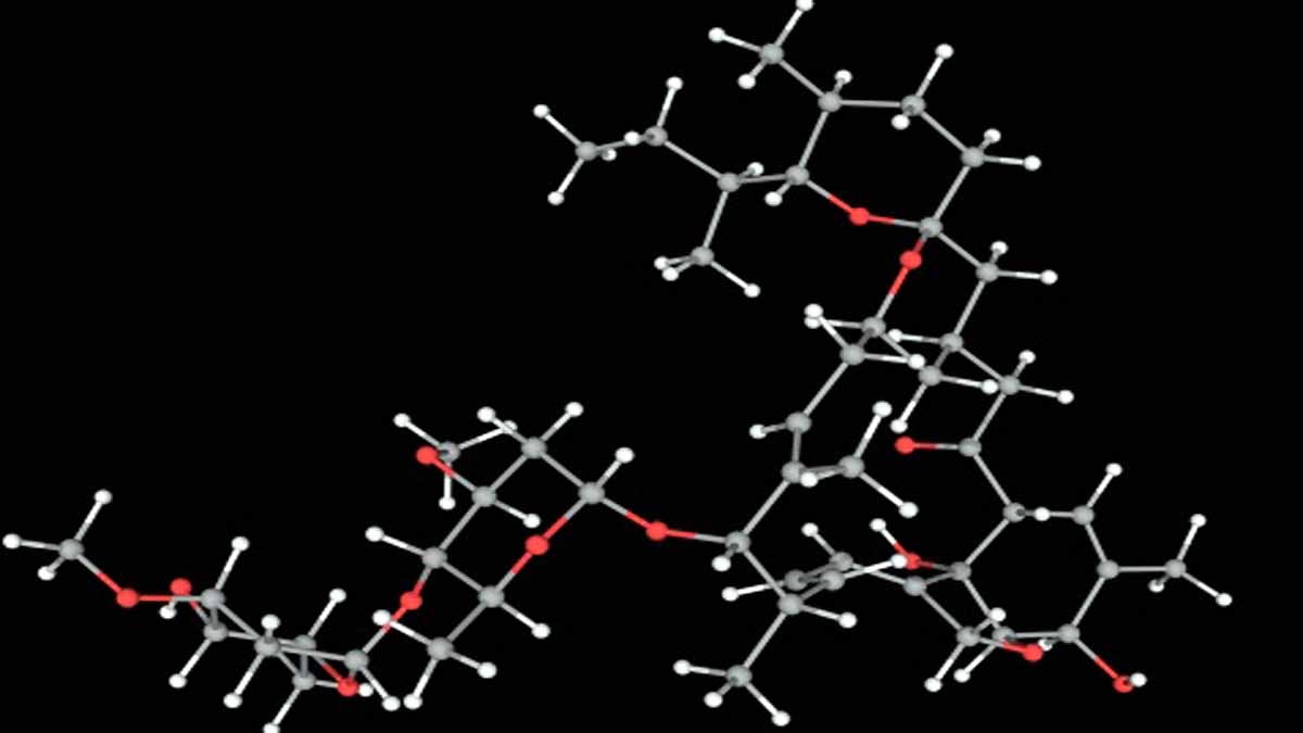 Ivermectin Dr. Ahmed Elgazzar