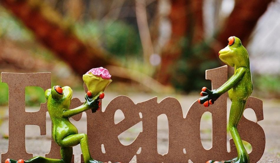 ये क्षमाक्षील होते हैं