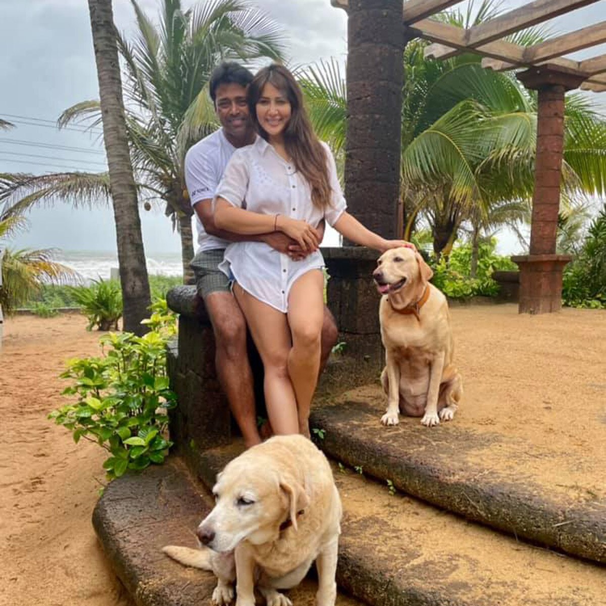 किम शर्मा 