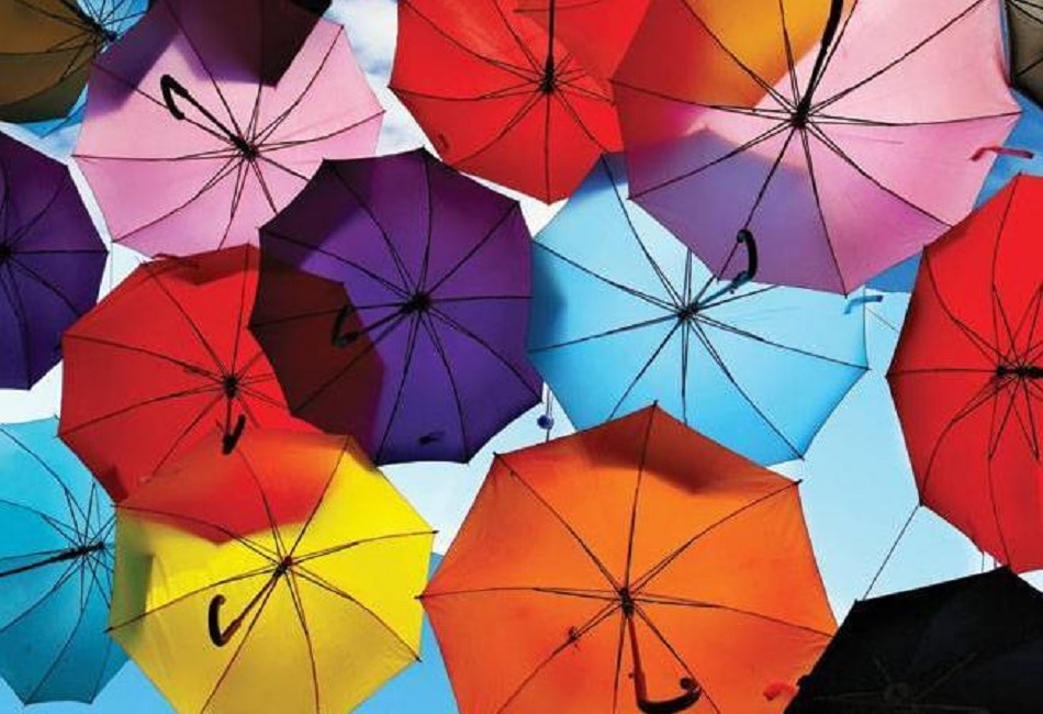 वित्तीय सहारा बनता है टर्म प्लान