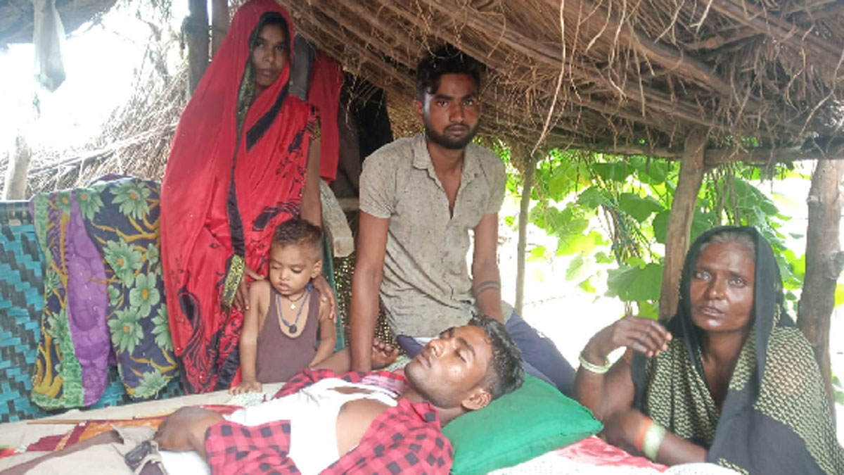 युवकों पर बाघ का हमला