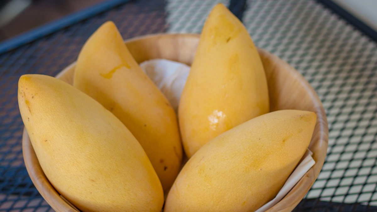 एनाफिलेक्टिक शॉक