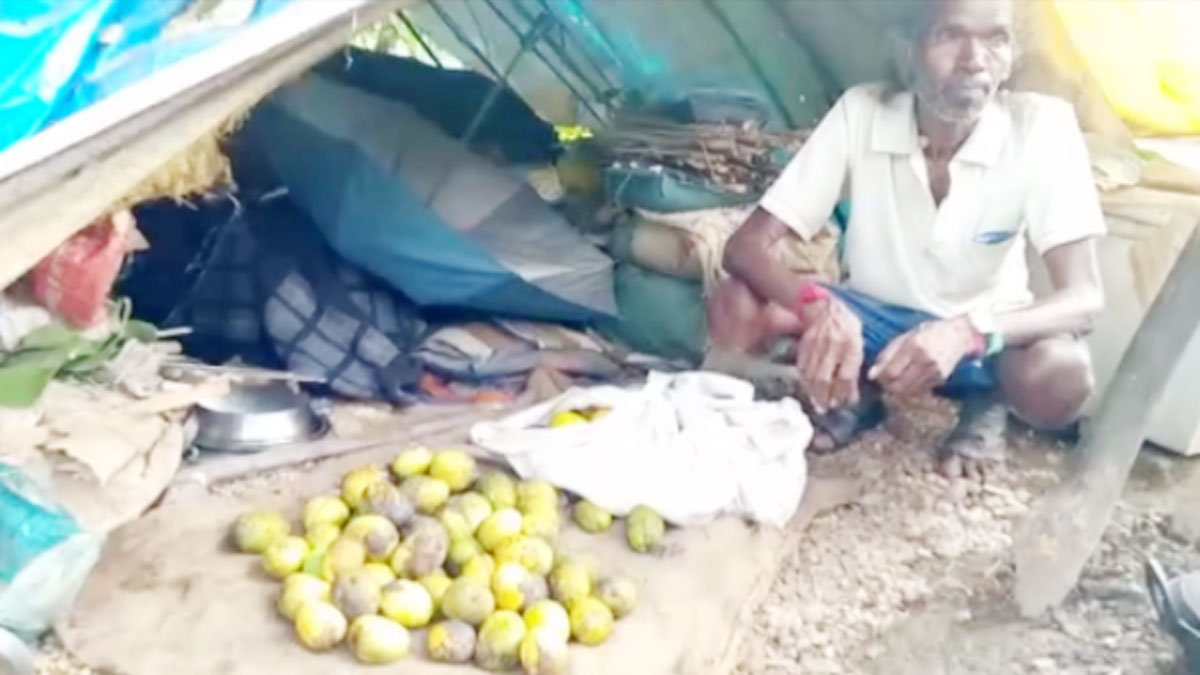  पेड़ के नीचे रहने के लिए मजबूर गरीब किसान 