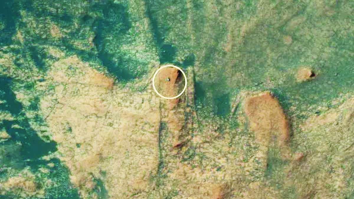 Past Life Mars Curiosity