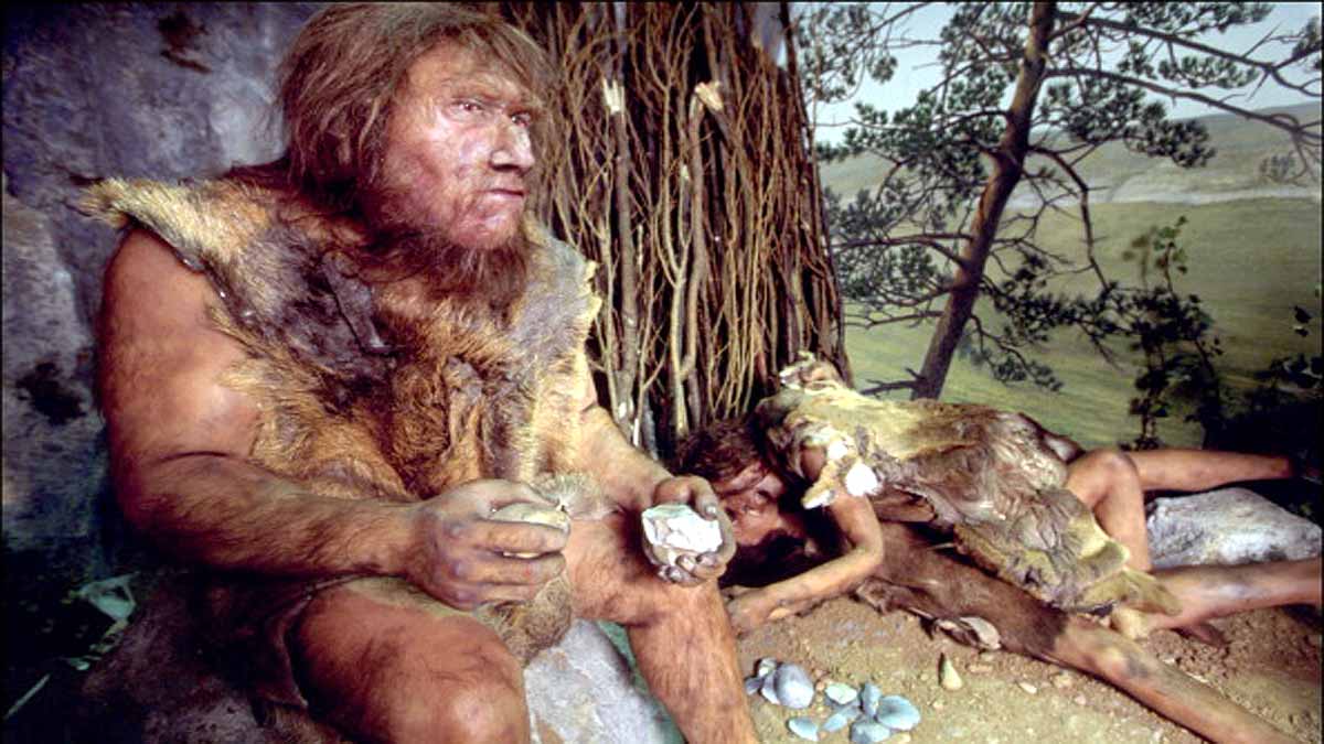 Modern human Neanderthal