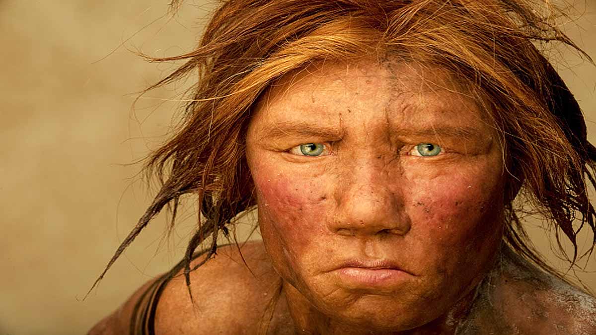 Modern human Neanderthal