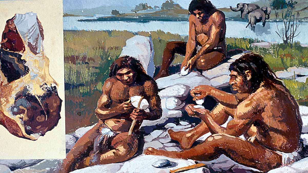 Modern human Neanderthal