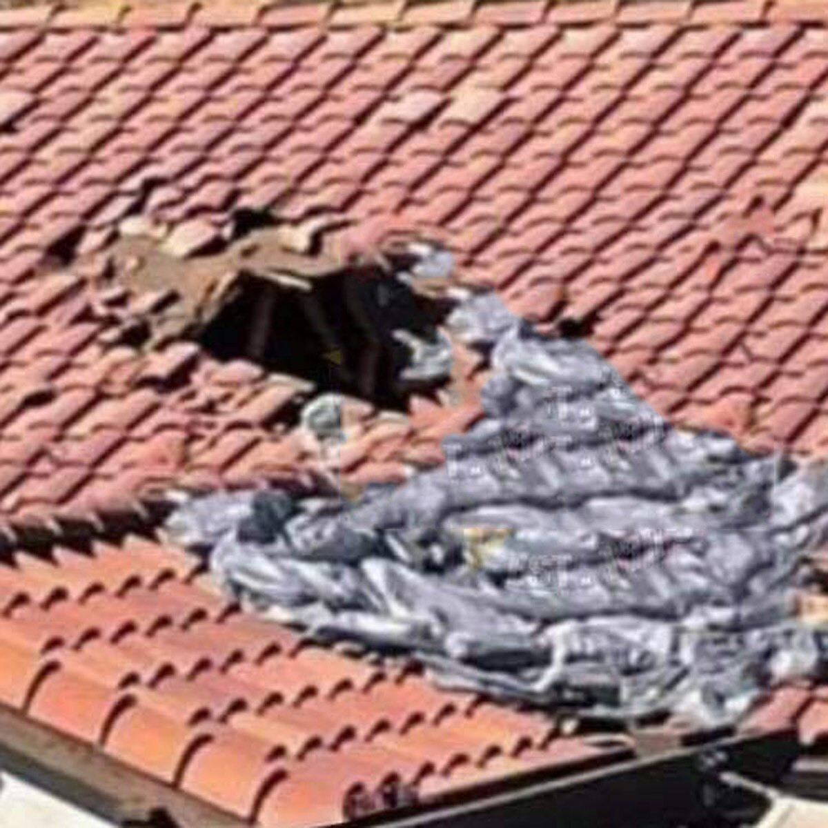 Parachuter plunges through roof