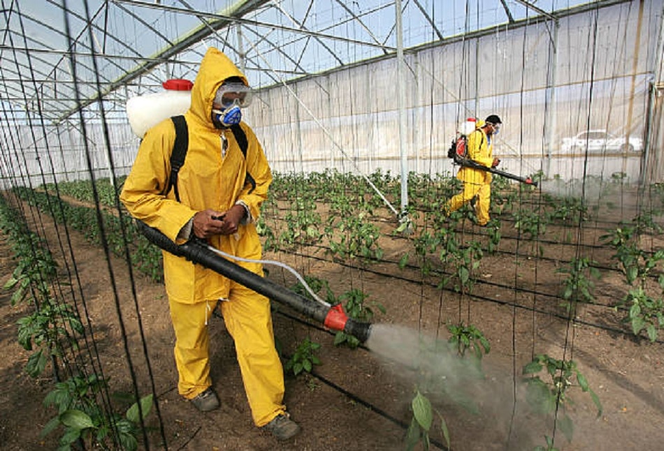 पेस्टीसाइड्स