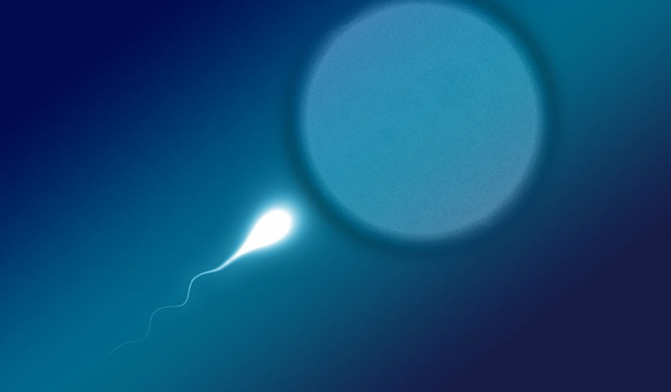 गर्भधारण7