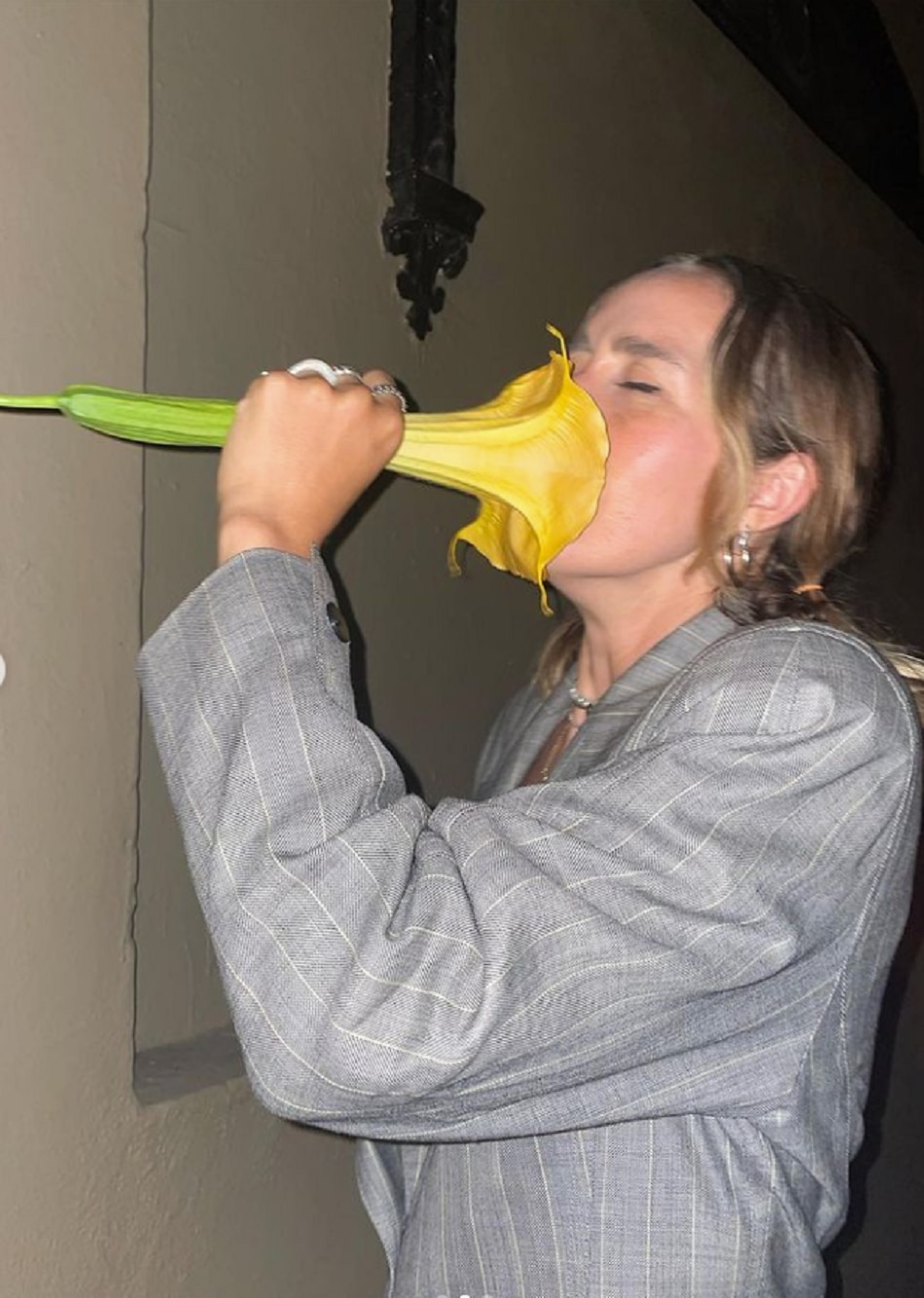 World Scariest Drug flower