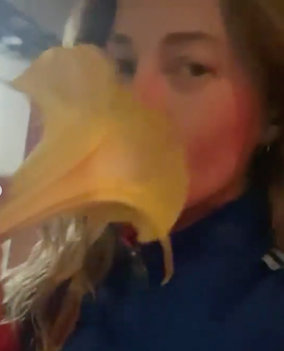 World Scariest Drug flower