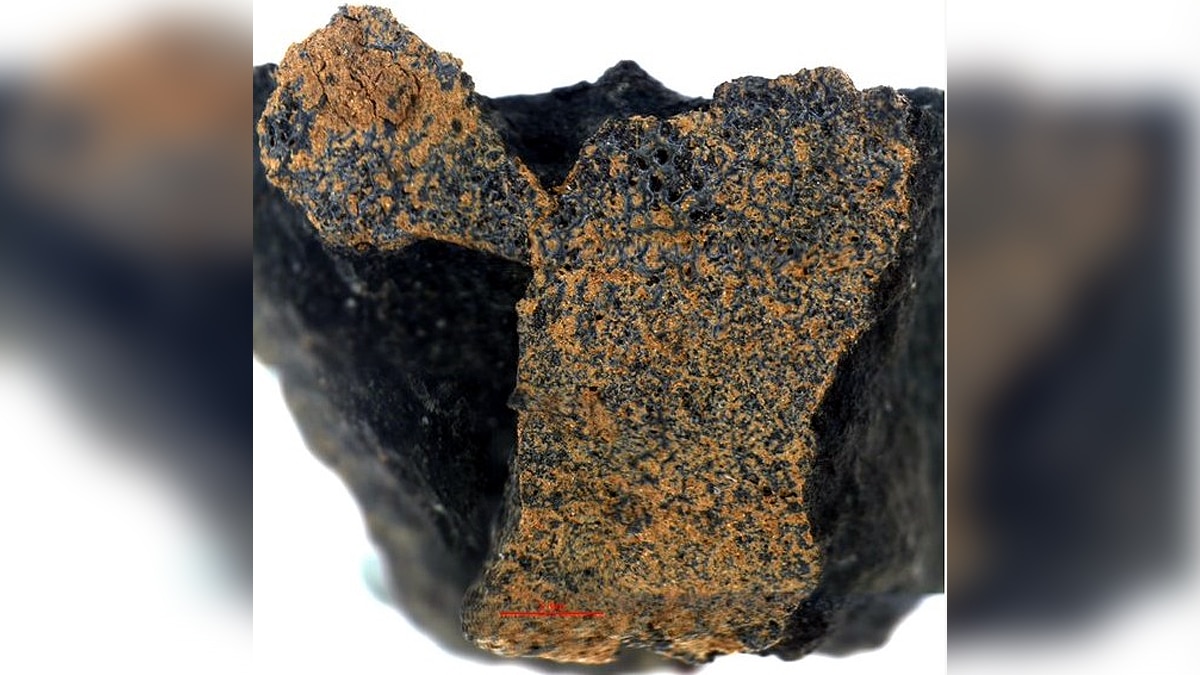 460 Crore Year Old Rare Meteorite 