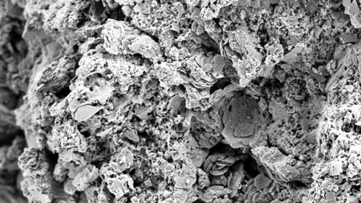 460 Crore Year Old Rare Meteorite 