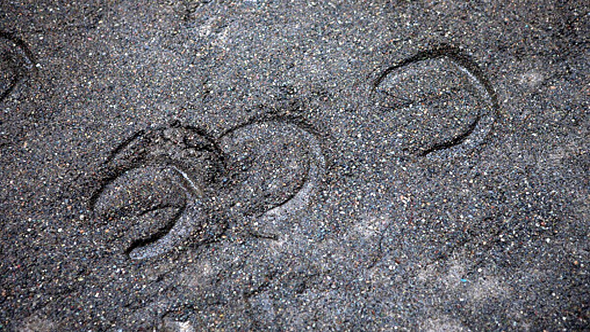 460 Crore Year Old Rare Meteorite 