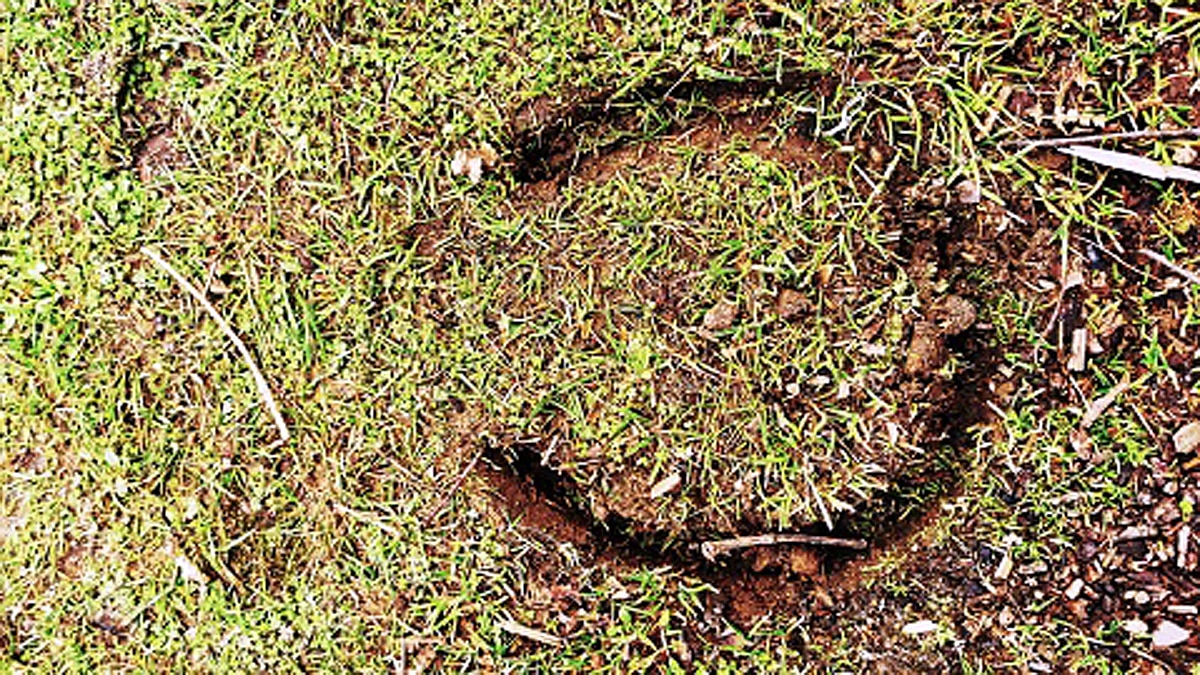 460 Crore Year Old Rare Meteorite 