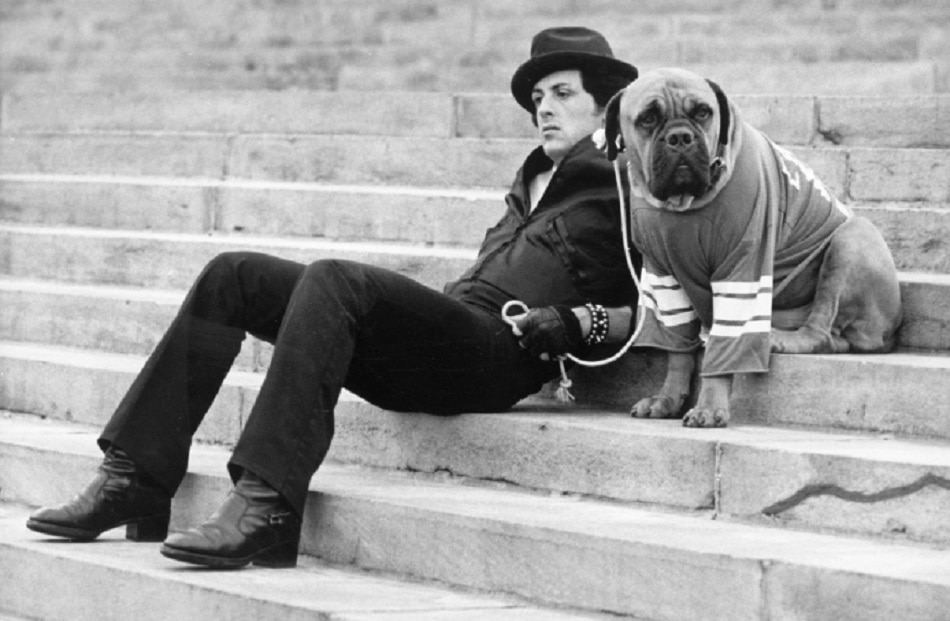 सिल्वेस्टर स्टेलॉन कैसे बने 'रॉकी'