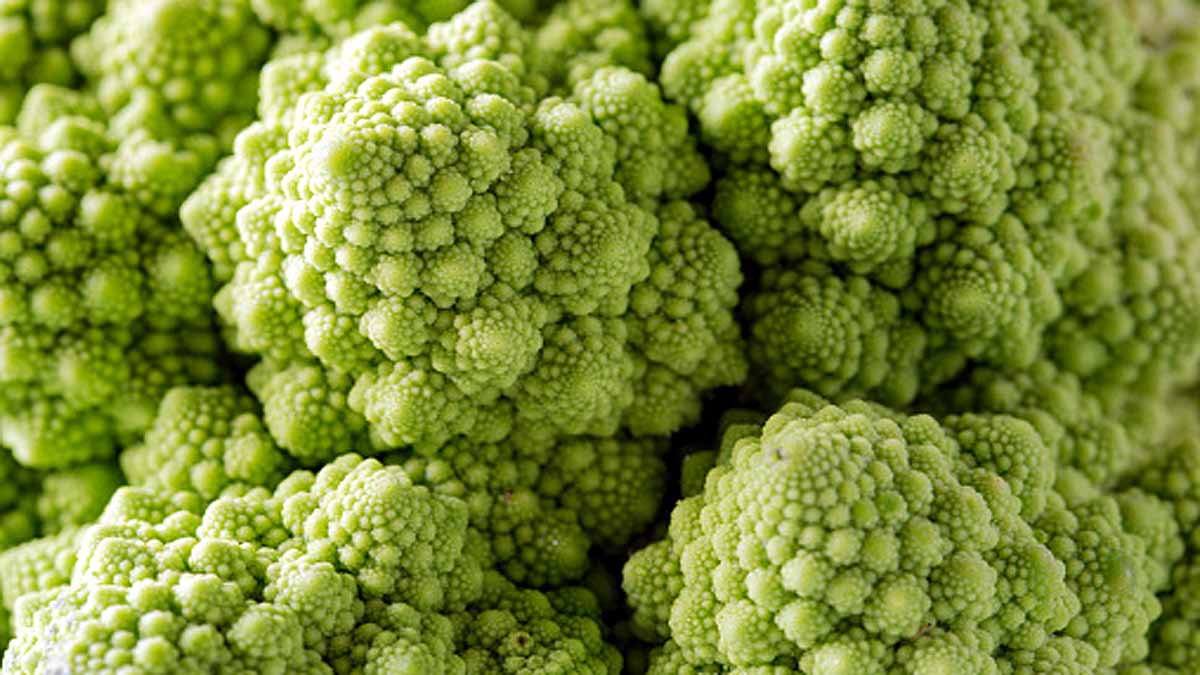 Weird Romanesco cauliflowers